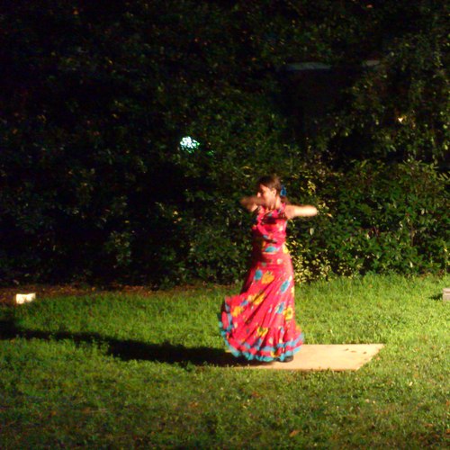 Flamento en Los jardines de Hi